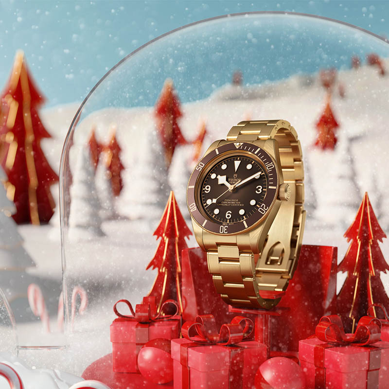 feste di fine anno con un TUDOR!