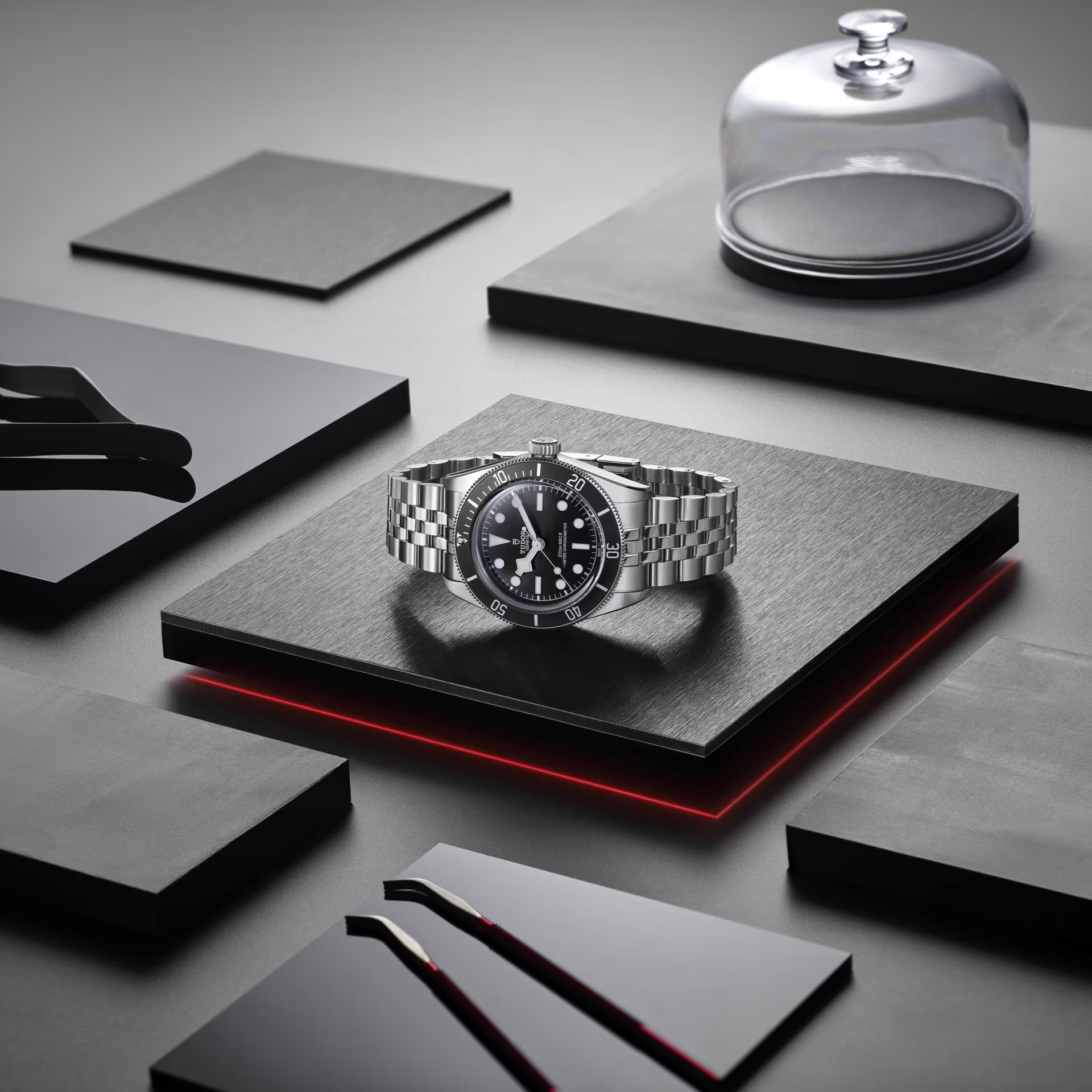  Tudor Black Bay