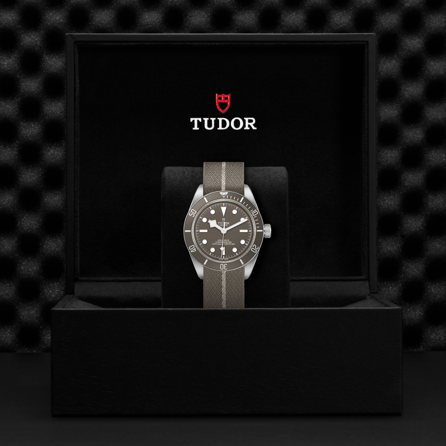 Tudor Black Bay 58 925