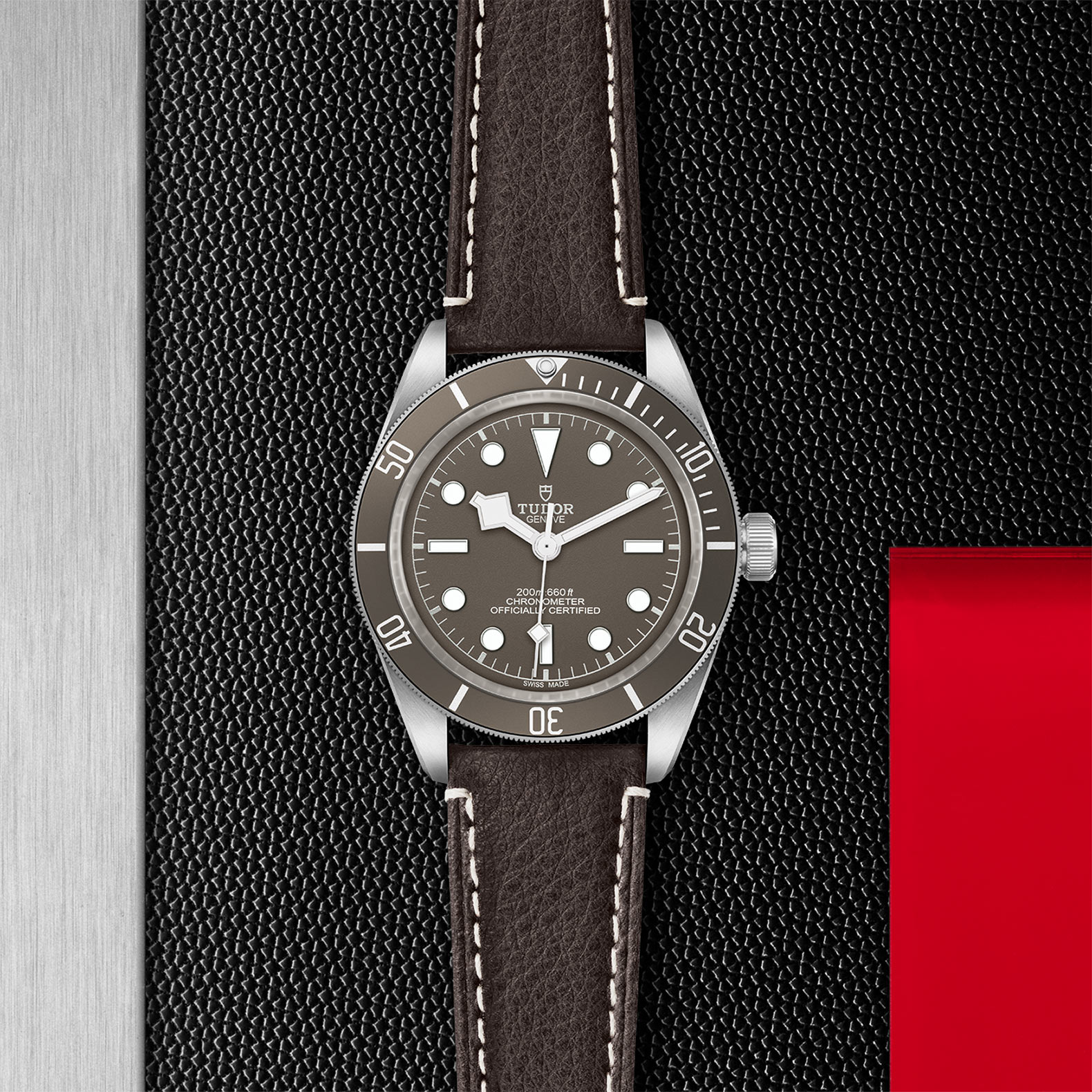 BLACK BAY 58 925 - M79010SG