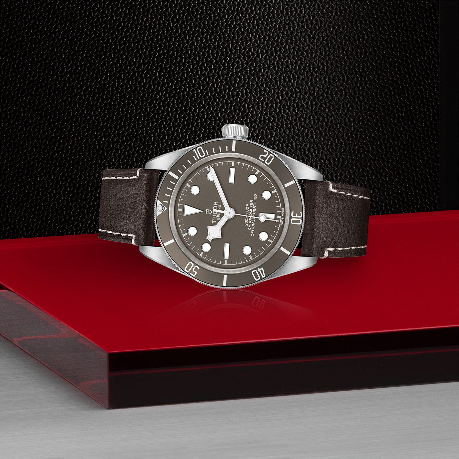 BLACK BAY 58 925 - M79010SG