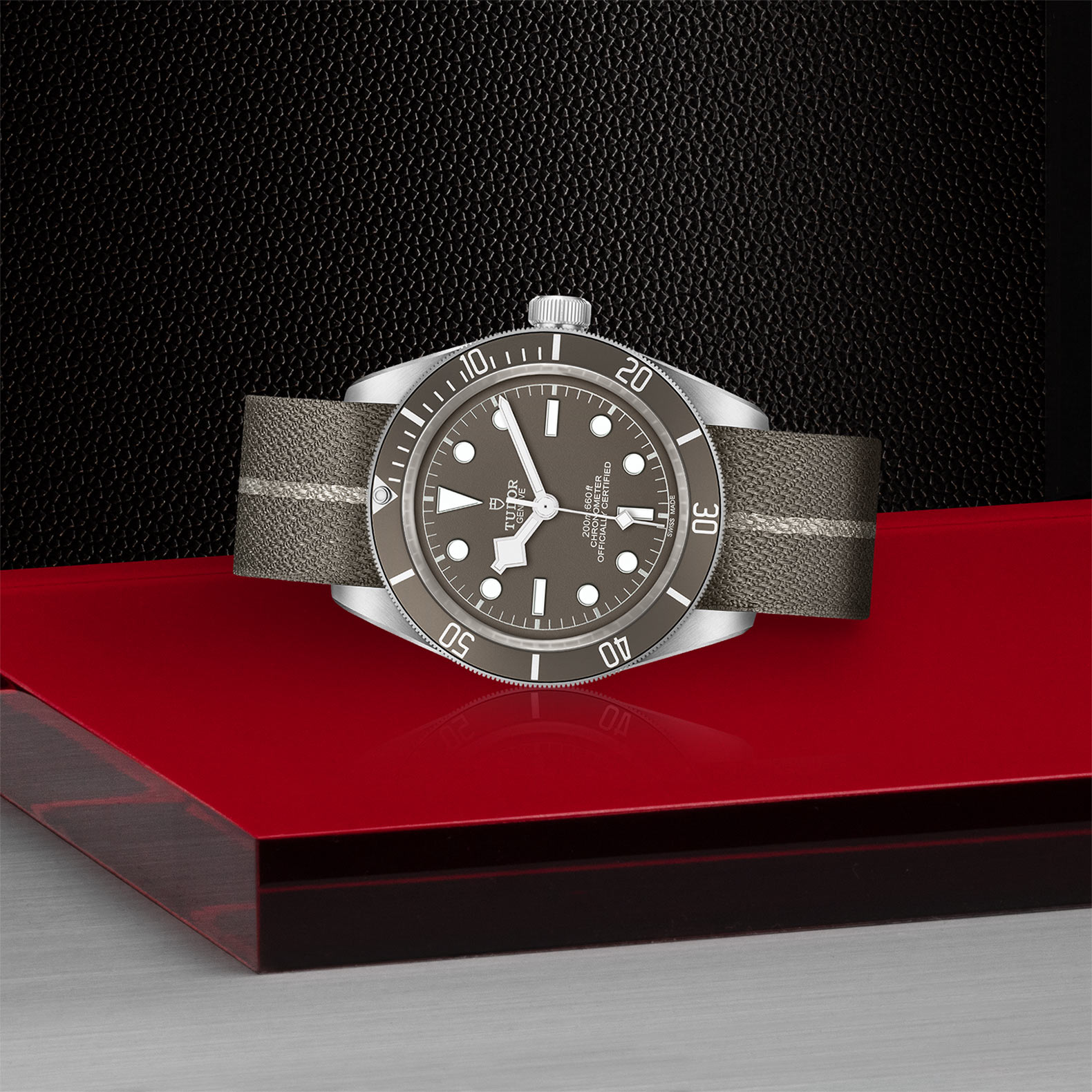 BLACK BAY 58 925 - M79010SG