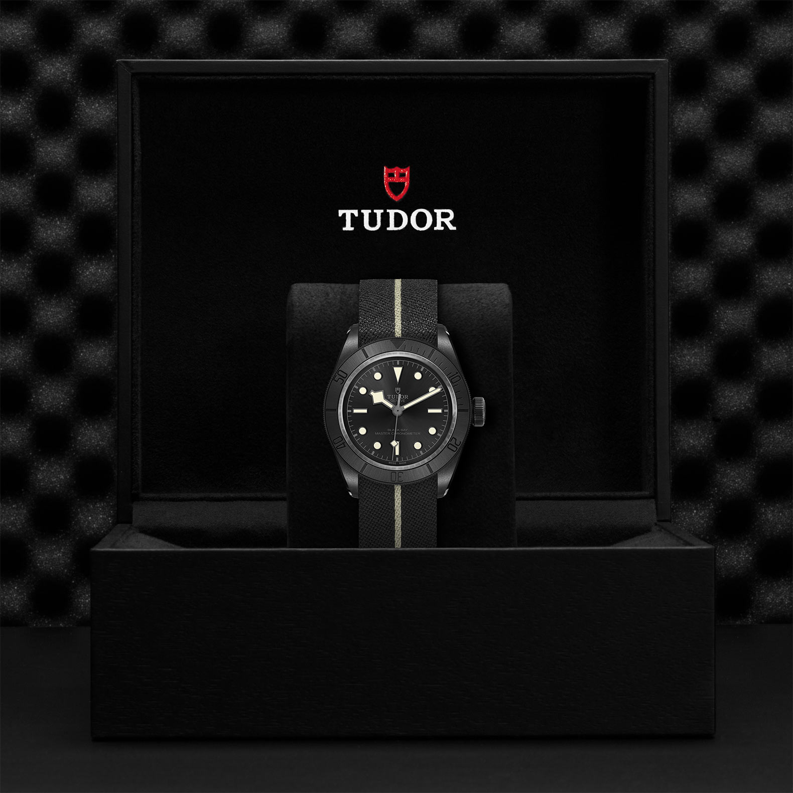 TUDOR Black Bay Ceramic - 79210CNU