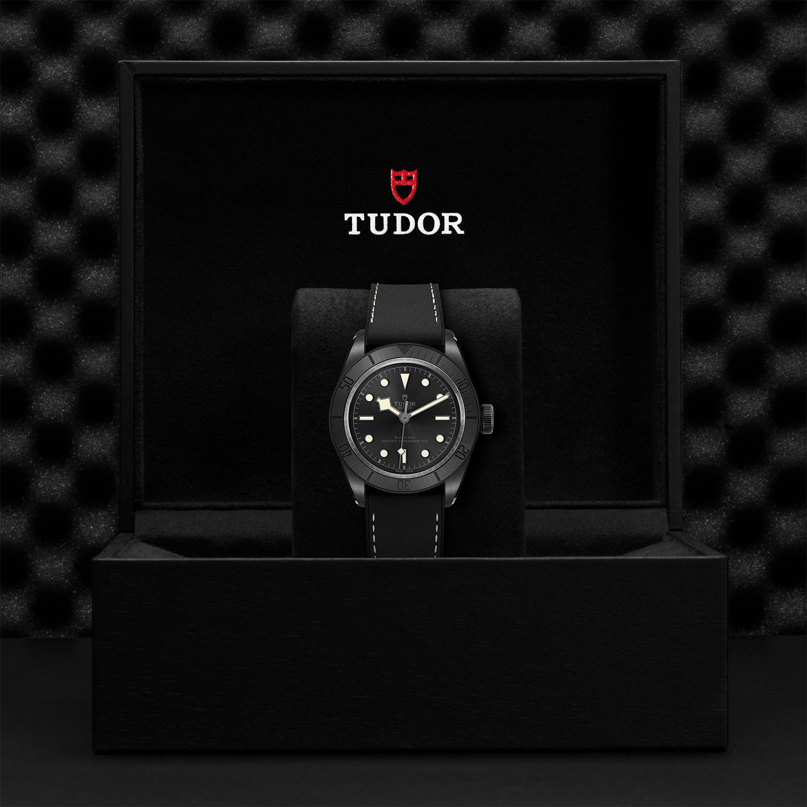 TUDOR Black Bay Ceramic - 79210CNU