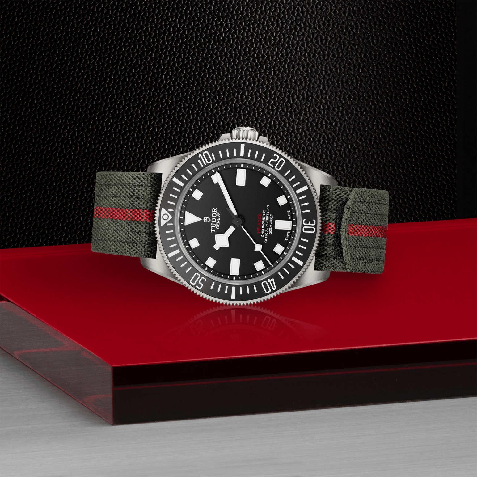 Tudor Ranger
