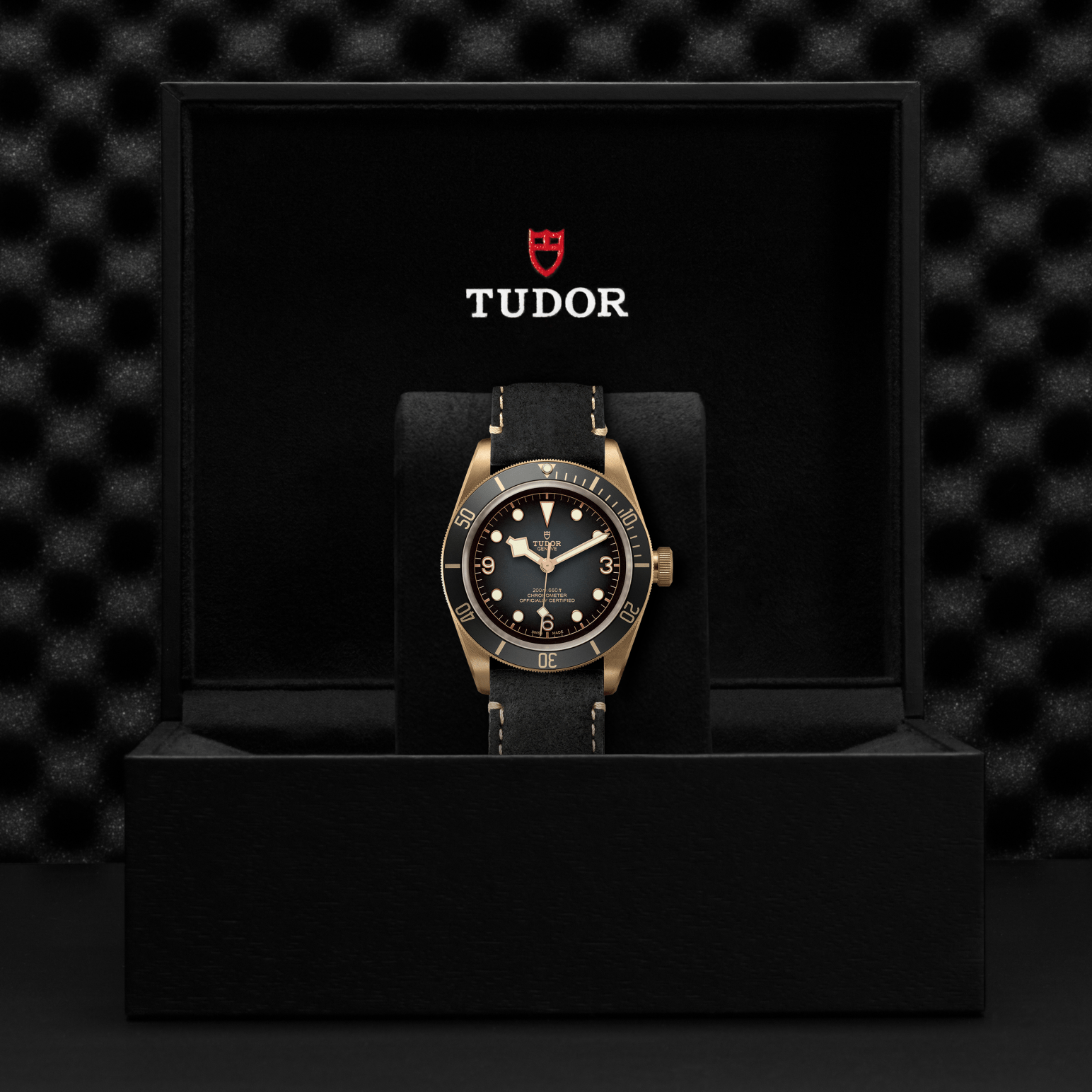 Tudor Black Bay Bronze