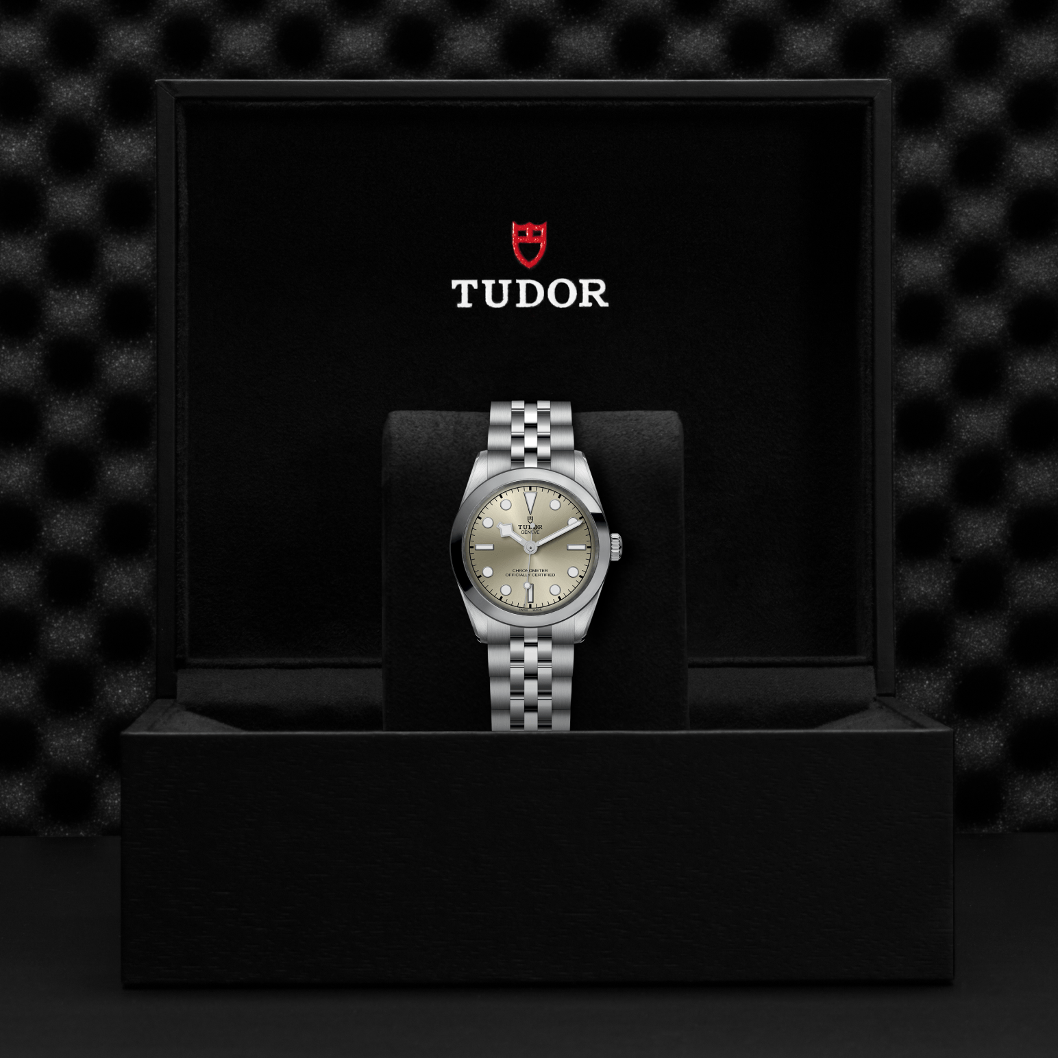Tudor Black Bay One 31 