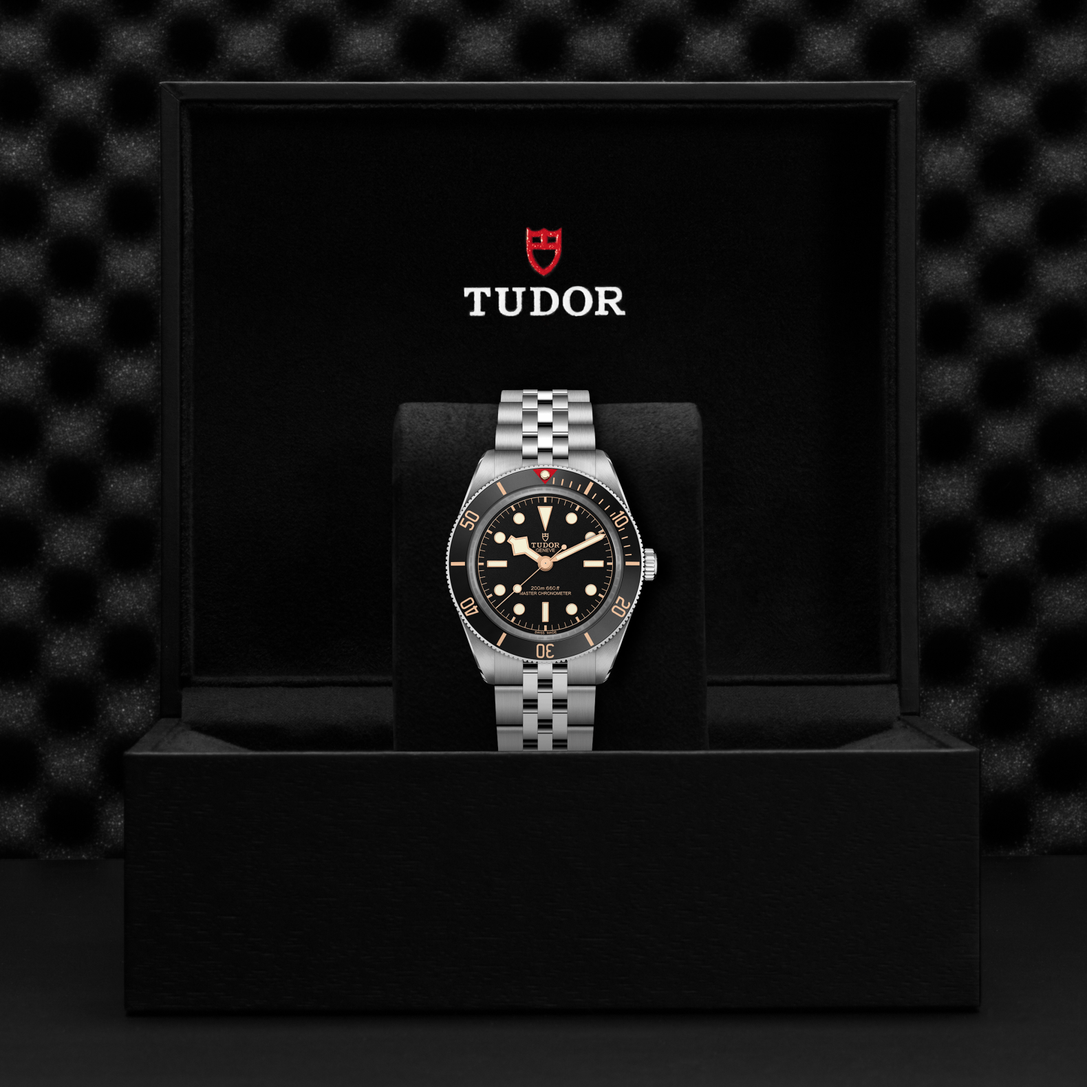Tudor Black Bay 58