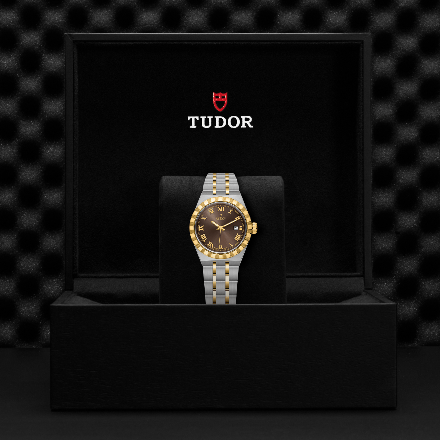 Tudor Royal 28mm