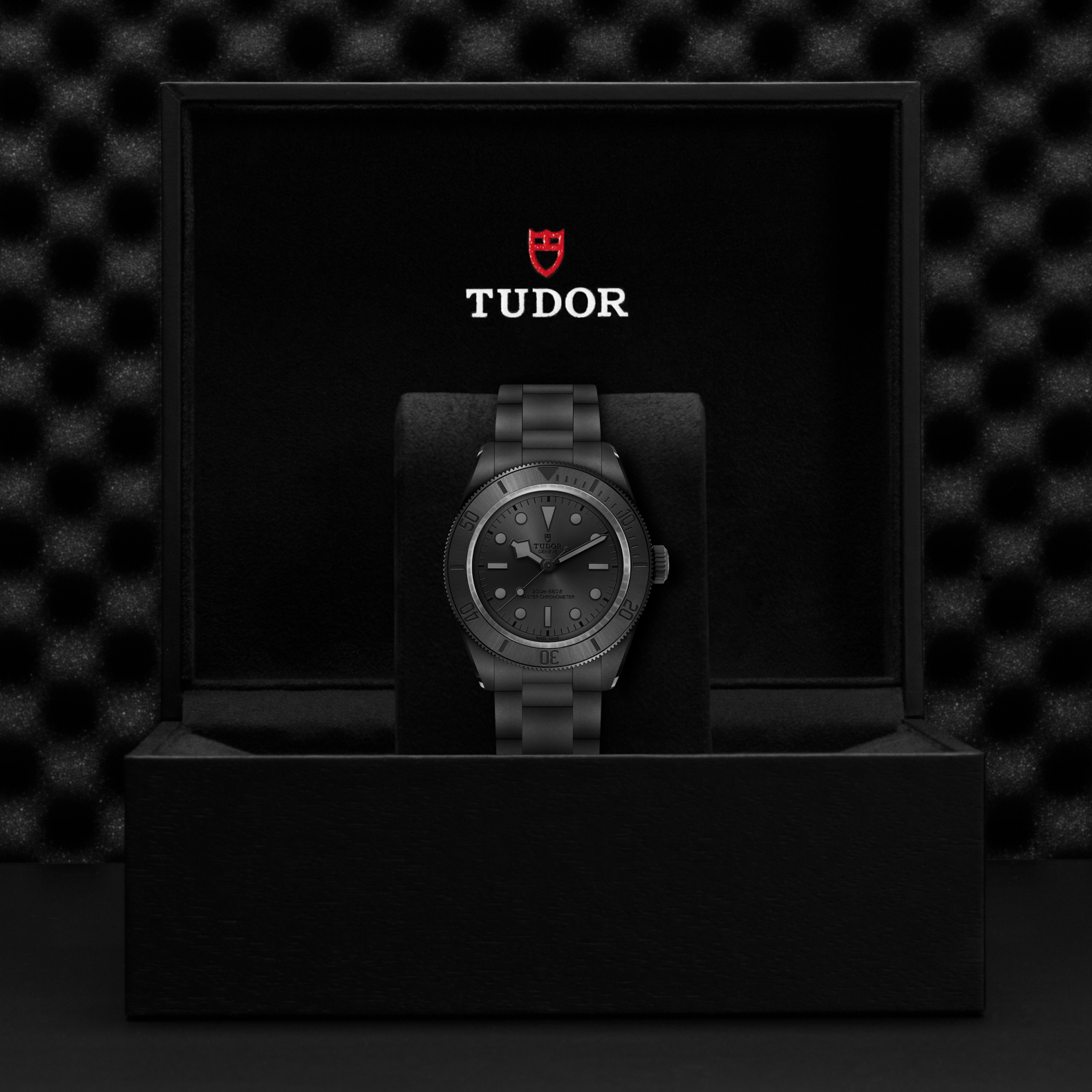 Tudor Black Bay Ceramic