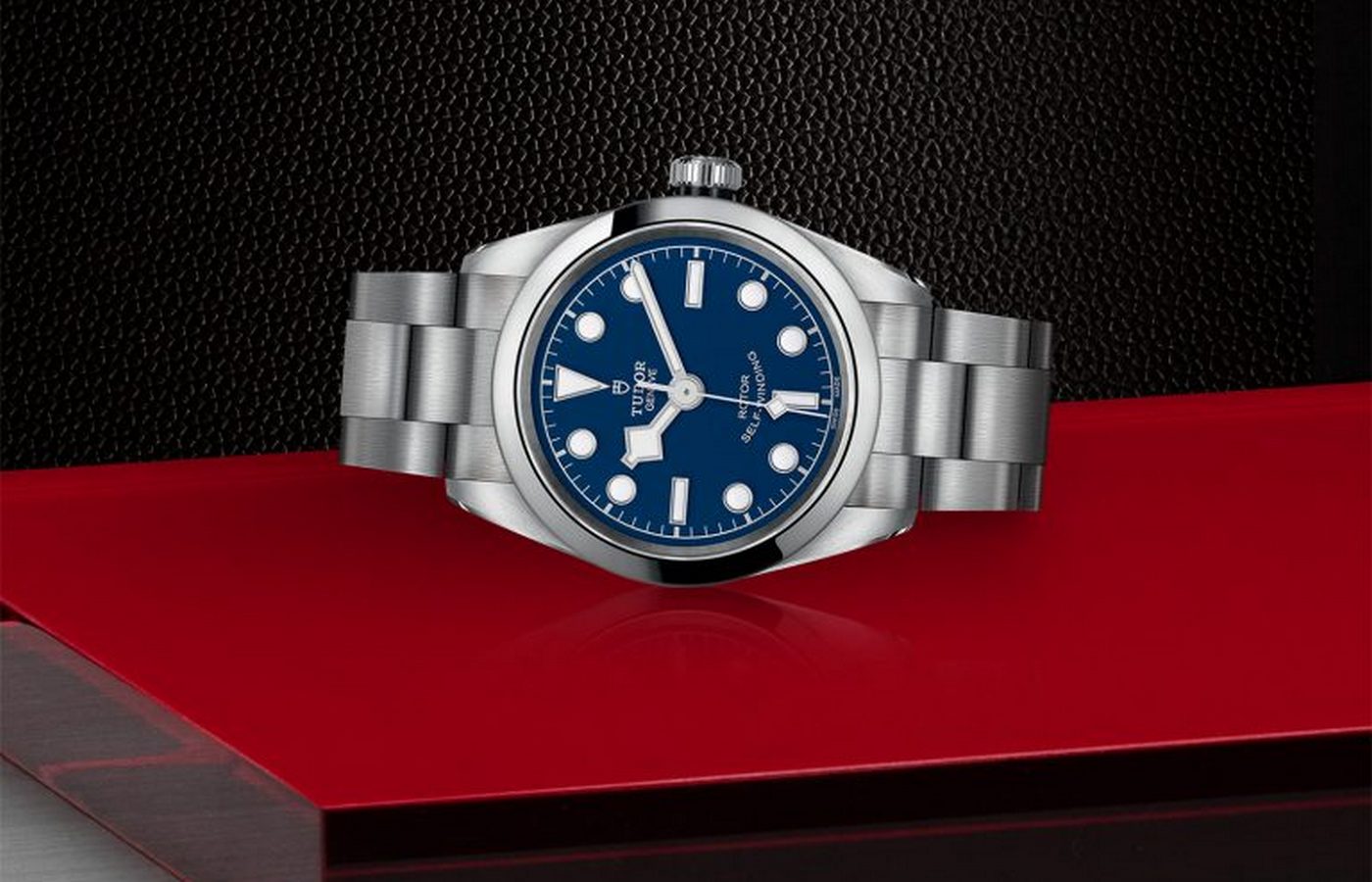Tudor BLACK BAY 32 M79580-0003