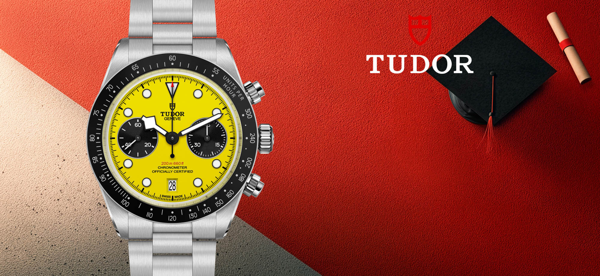 La collezione Tudor