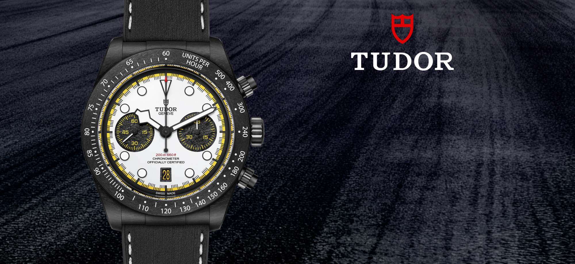 La collezione Tudor