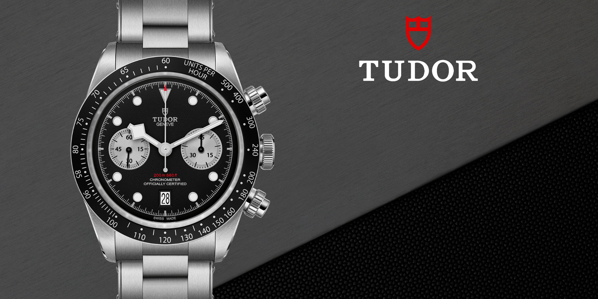 La collezione Tudor